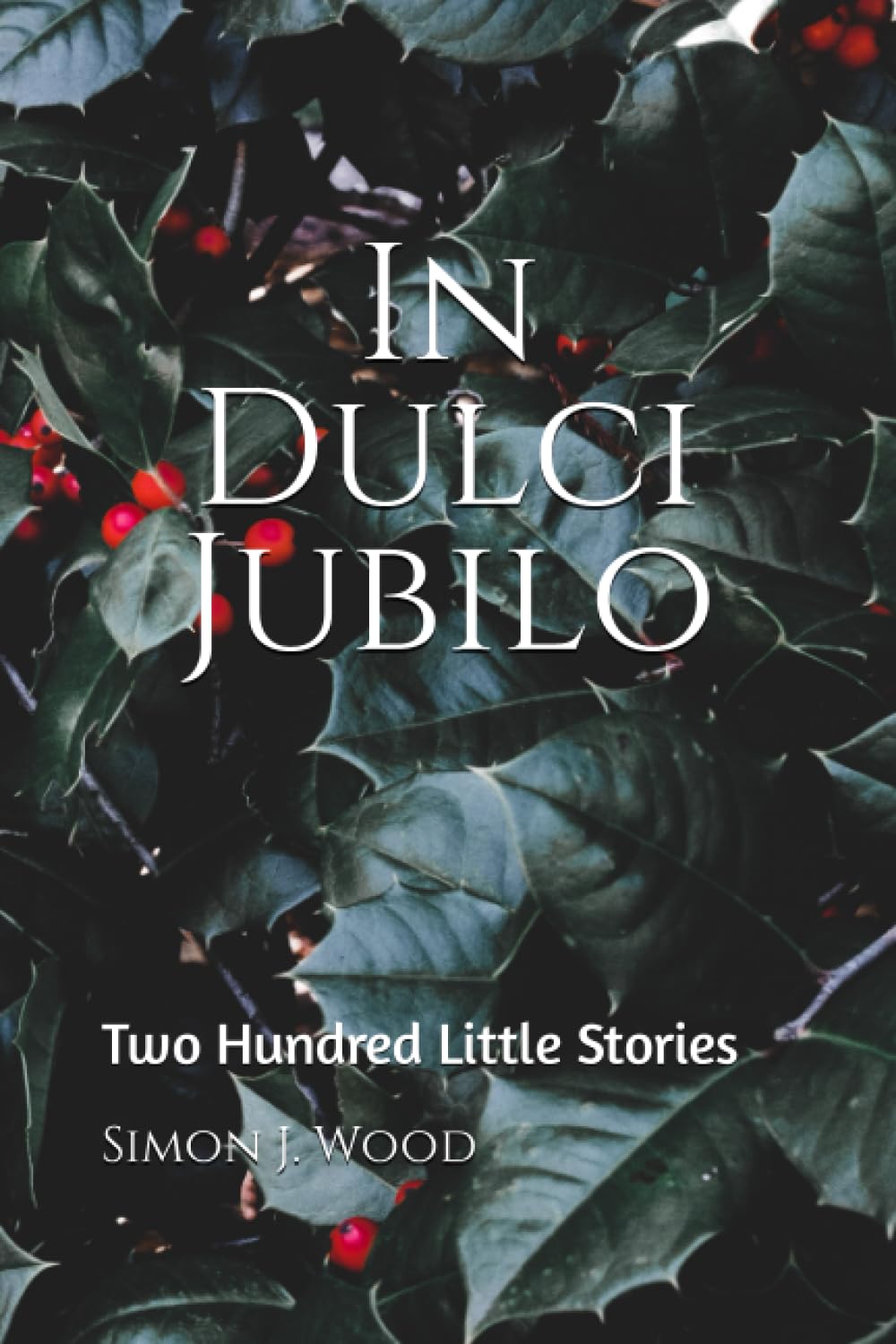 In Dulci Jubilo: Two Hundred Little Stories