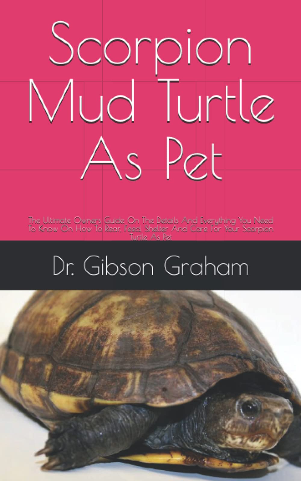 Buy Scorpion Mud Turtle As Pet: The Ultimate Owners Guide On The ...