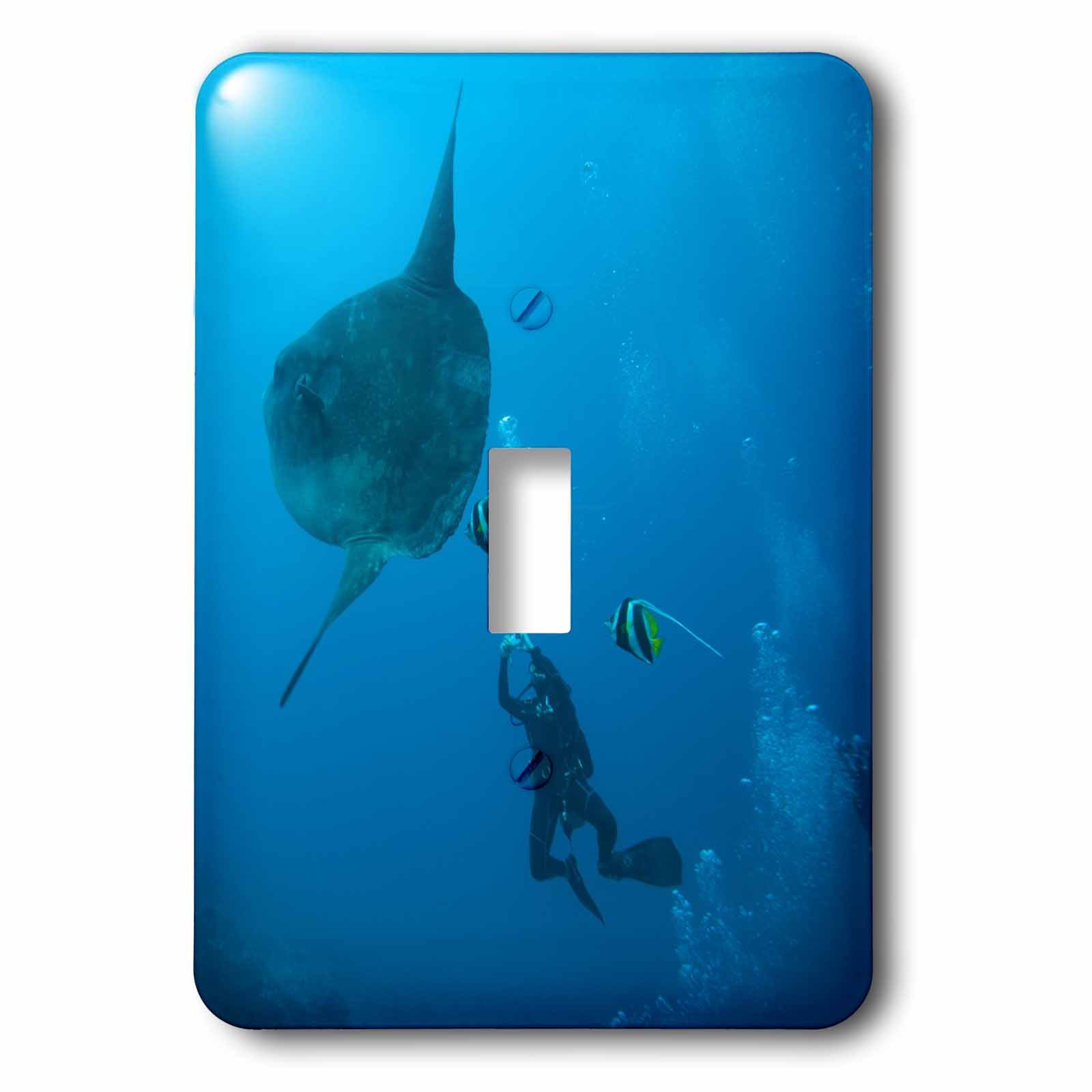 Interrupteur simple poissons Nusa Penida pour remplacer vos plaques murales ternes