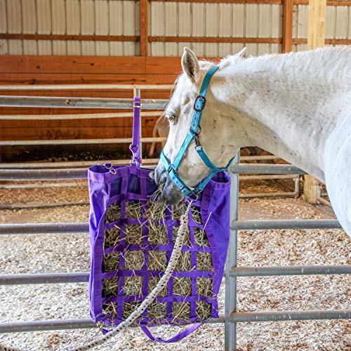 Majestic Ally Pacote com 2 cabresto ajustável para cavalos – queixo e coroa ajustáveis – Gancho de p