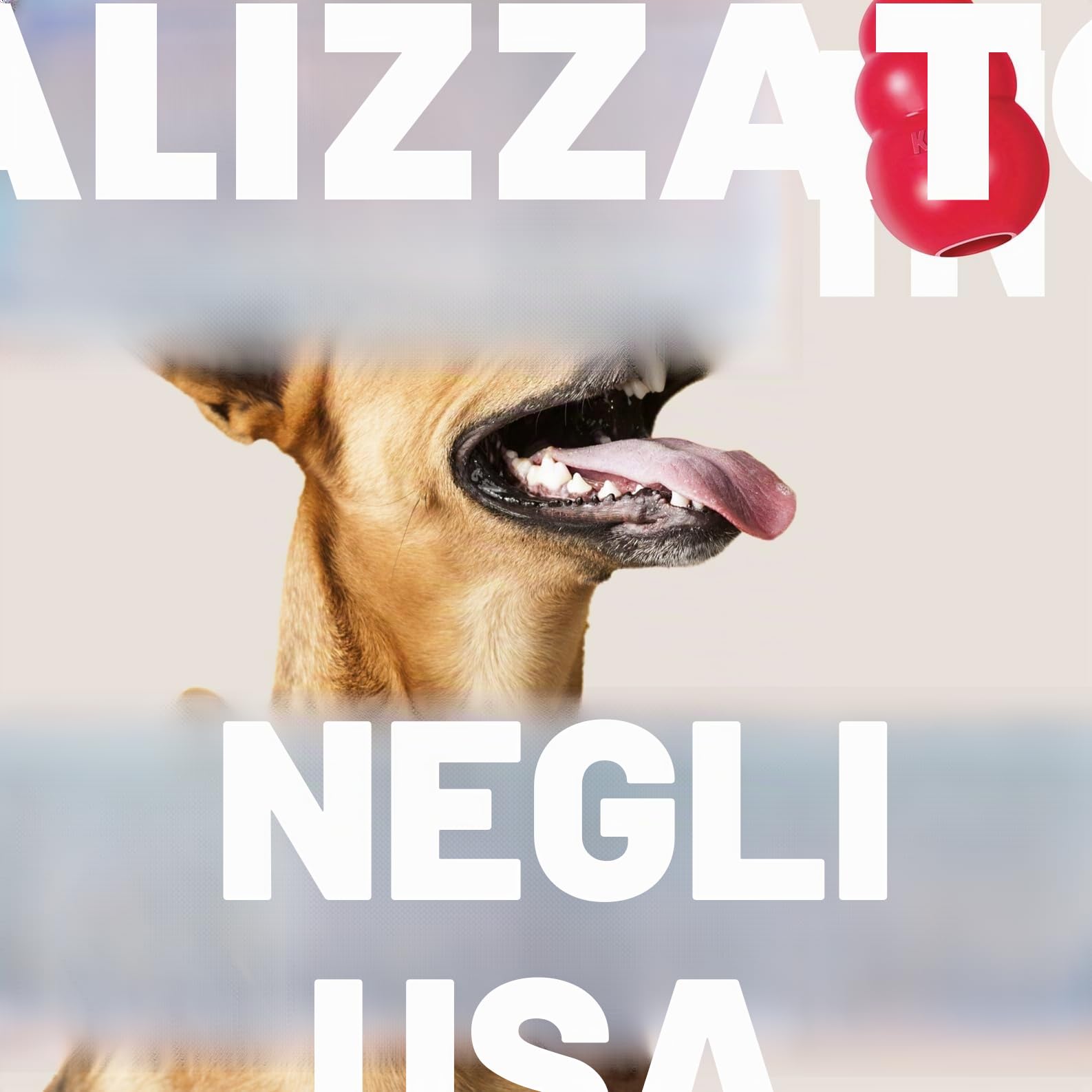 KONG Flyer Giocattolo Per Cani Resistente Disco Volante In Gomma Naturale Per Cani Di Taglia Media/Grande