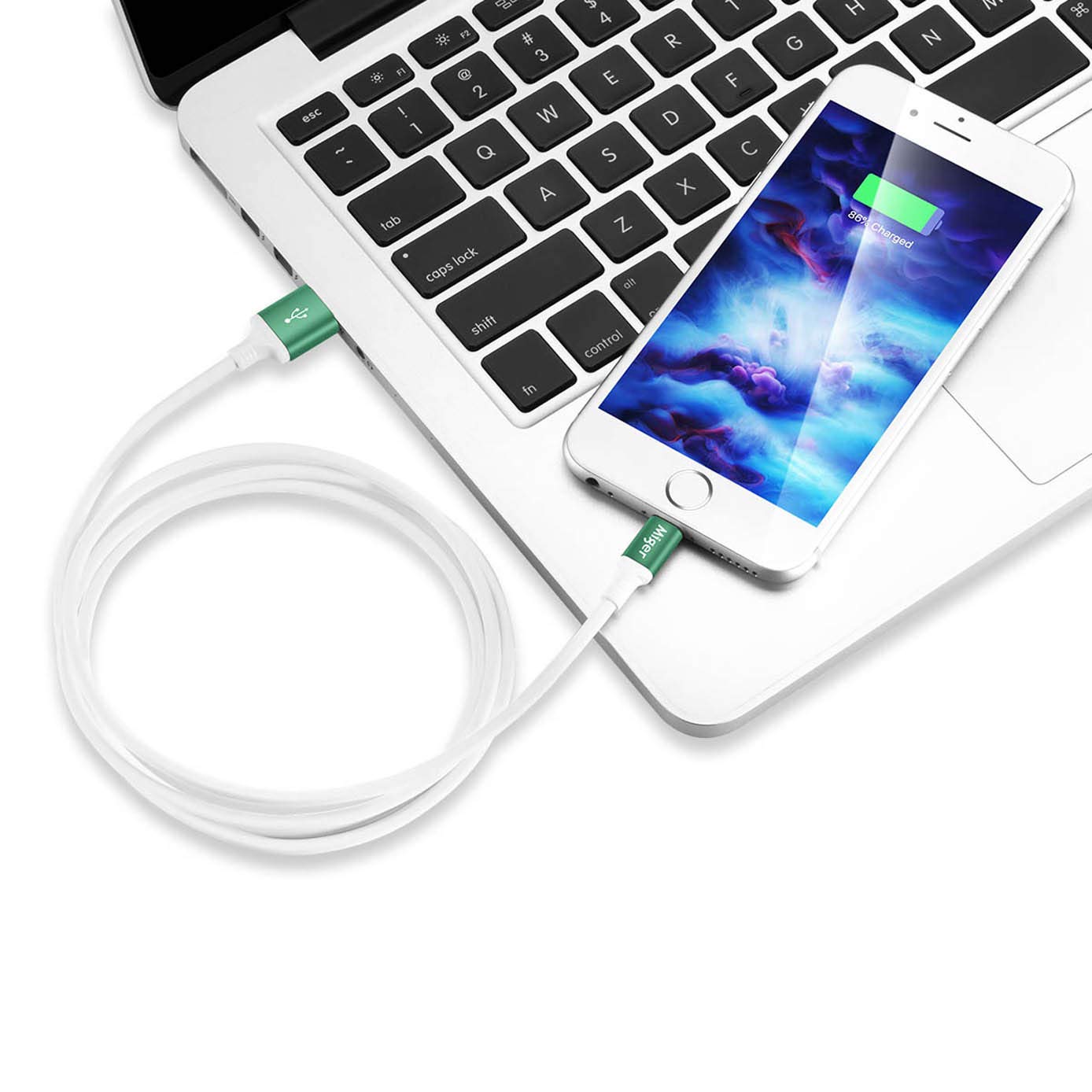Miger 4Pack iPhone Fast Charging Cable, USB A Cable Compatible for iPhone Xs Max,XS, XR,X,8,8Plus,7,7Plus,6S,6S Plus,6 Plus,6,SE,5S,5C,5, and More (Blue+Gold+Green+Red, 4ft)