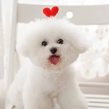 Amazon | ZhenLongDianZi 犬 猫 髪飾りアクセサリー 犬用 ヘア