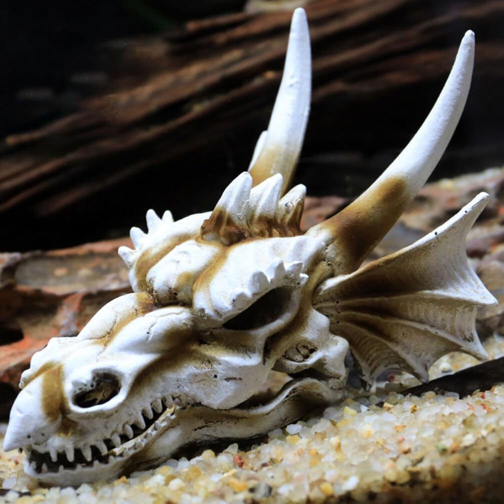 POPETPOP Dinosaur Skull Ornament Glass Decor Reptile Accessories Turtle Decor Fish Tank Skull Aquarium Skull Decorations Dragon Fish Landscaping Prop Fish Tank Decor Aquarium Decor Chic 1pc