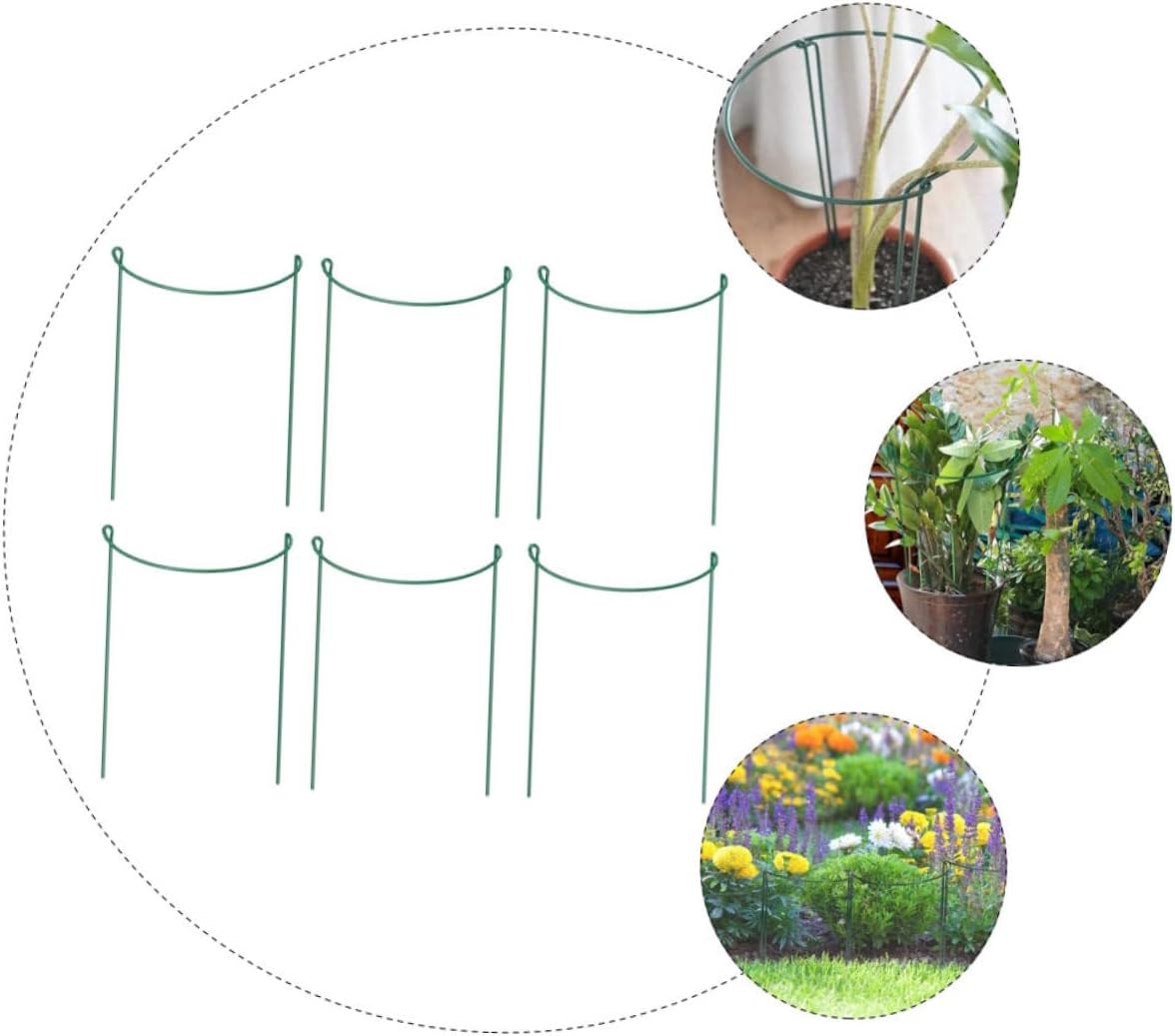 BESTonZON 6Pcs Iron Art Plant Support Stakes Semicircle Design for Potted Plants Easy Installation for Orchids Climbing Plants Garden Decoration Support