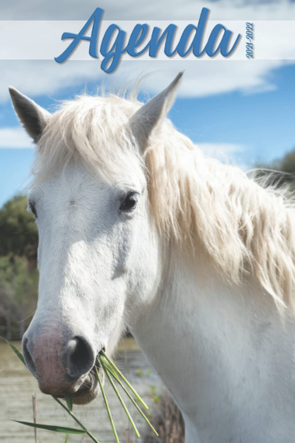 Buy Agenda Cheval 2021 2022 Agenda Scolaire 2021 2022 Cheval