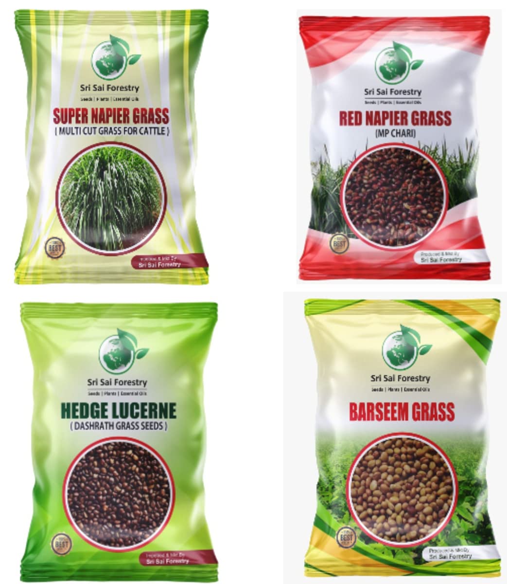 SRI SAI FORESTRY - Cattle Fodder Grass Seeds Kit - Super Napier + Red Napier + Hedge Lucerne + Berseem Grass Seeds - Pack of 100 Gram each (B0B5Y16PC5) Amazon Price History, Amazon Price Tracker