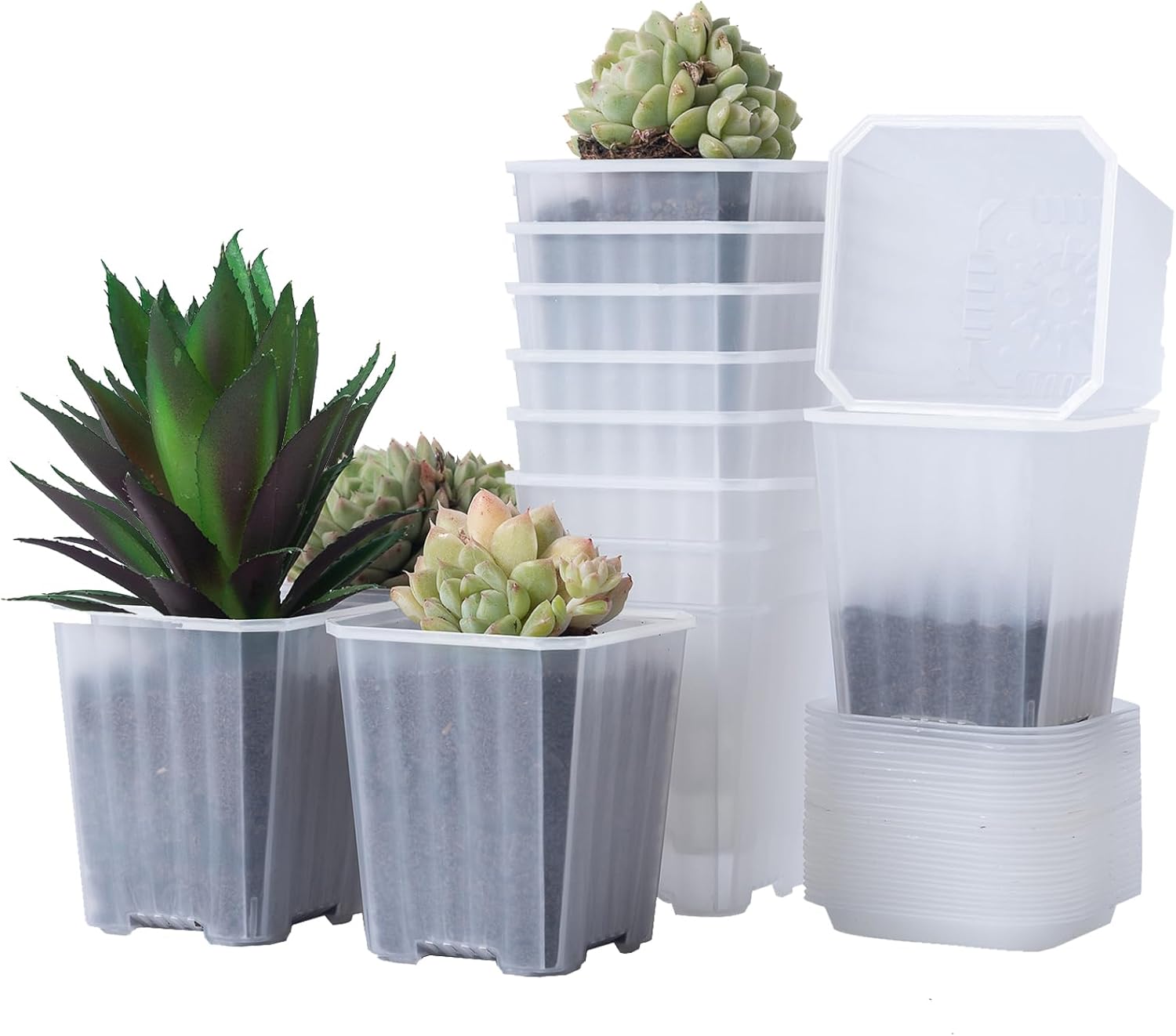 foxany 3 Inch Clear Nursery Pots, 30 Pcs Thick Plastic Plant Pot, Square Flower Planting Pots Variety Pack, Seedling Planter Starter Pots with Saucers for Garden