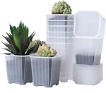 30 Pcs 3" Plantes pots de chambre de bébé, pots épais de plantation de fleurs carrées en plastique, pot de semis de plantes, 30 Pots de démarrage de semences avec 30 Saucers -Blanc 3 pots de semis de plantes de pouce 30 Pots de plantation de démarrage de semences