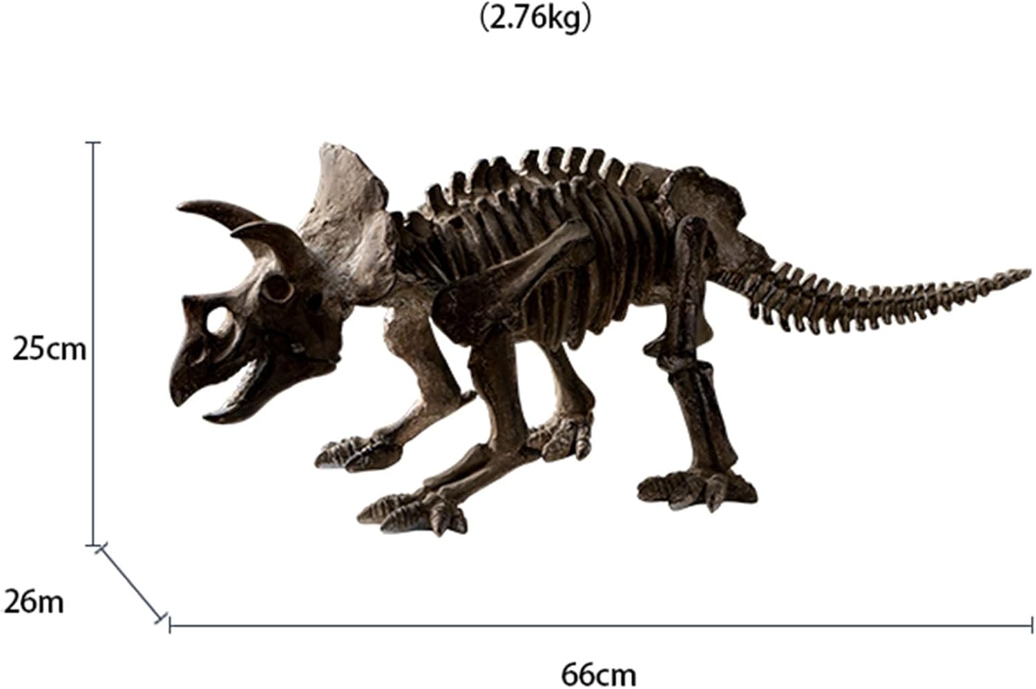 Triceratops Skeleton Model Dinosaur Fossil Skeleton Specimen Ornament Sculpture Model for Home Table Shelf Display Decor,Brown-66cm