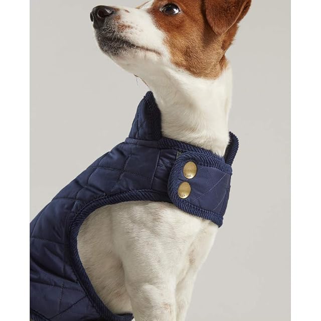 Foto 6 de 8 de Rosewood Joules Abrigo acolchado para perro S, azul marino, 200 g