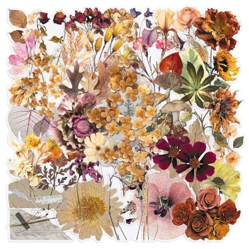 50PCS Withered Plants Stickers, Waterproof Vinyl PET Transparent Vintage Dried Flower Decals for Laptop, Luggage, Skateboard, Phone, Fridge, Trendy Stickers for Teens, Adults, Boys and Girls(withered)