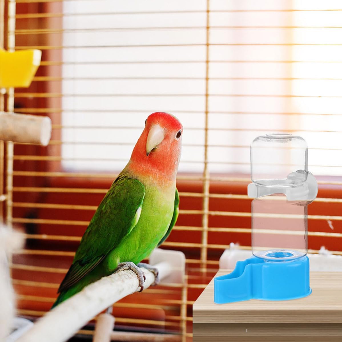 Generic 3pcs Automatic Bird Water Dispenser for Parrot and Quail Cage Large Capacity Plastic and Iron Water Bottle for Bird Supplies