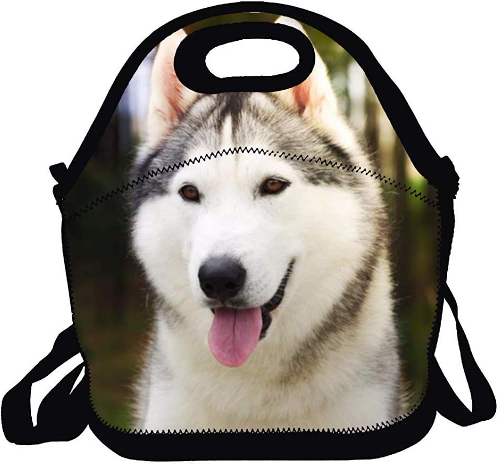 Ogden Neoprene Huskie Lunch Bag for Women, Men & Kids | Pocket | Reusable | Washable | Lunch Box |