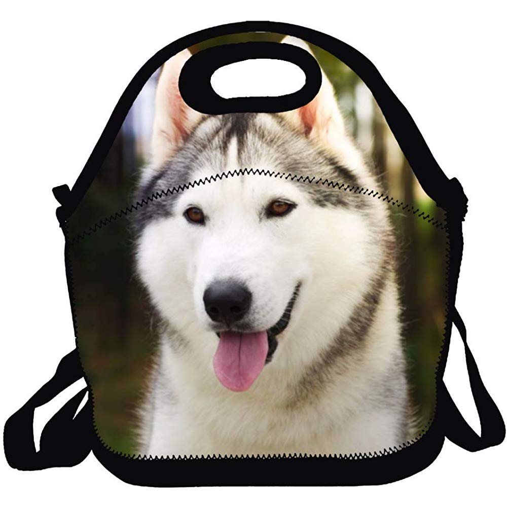 Ogden Neoprene Huskie Lunch Bag for Women, Men & Kids | Pocket | Reusable | Washable | Lunch Box |