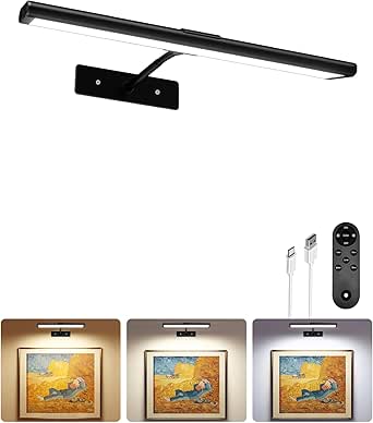 EZVALO 13'' Rechargeable Wireless Wall Picture Light with IR Remote, Magnetic LED Art Lighting, 3 Color Temperatures, 5 Brightness Levels, 4800mAh Battery, Black