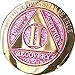 2 Year Elegant Glitter Pink Gold Silver Bi-Plated AA Medallion Chip II