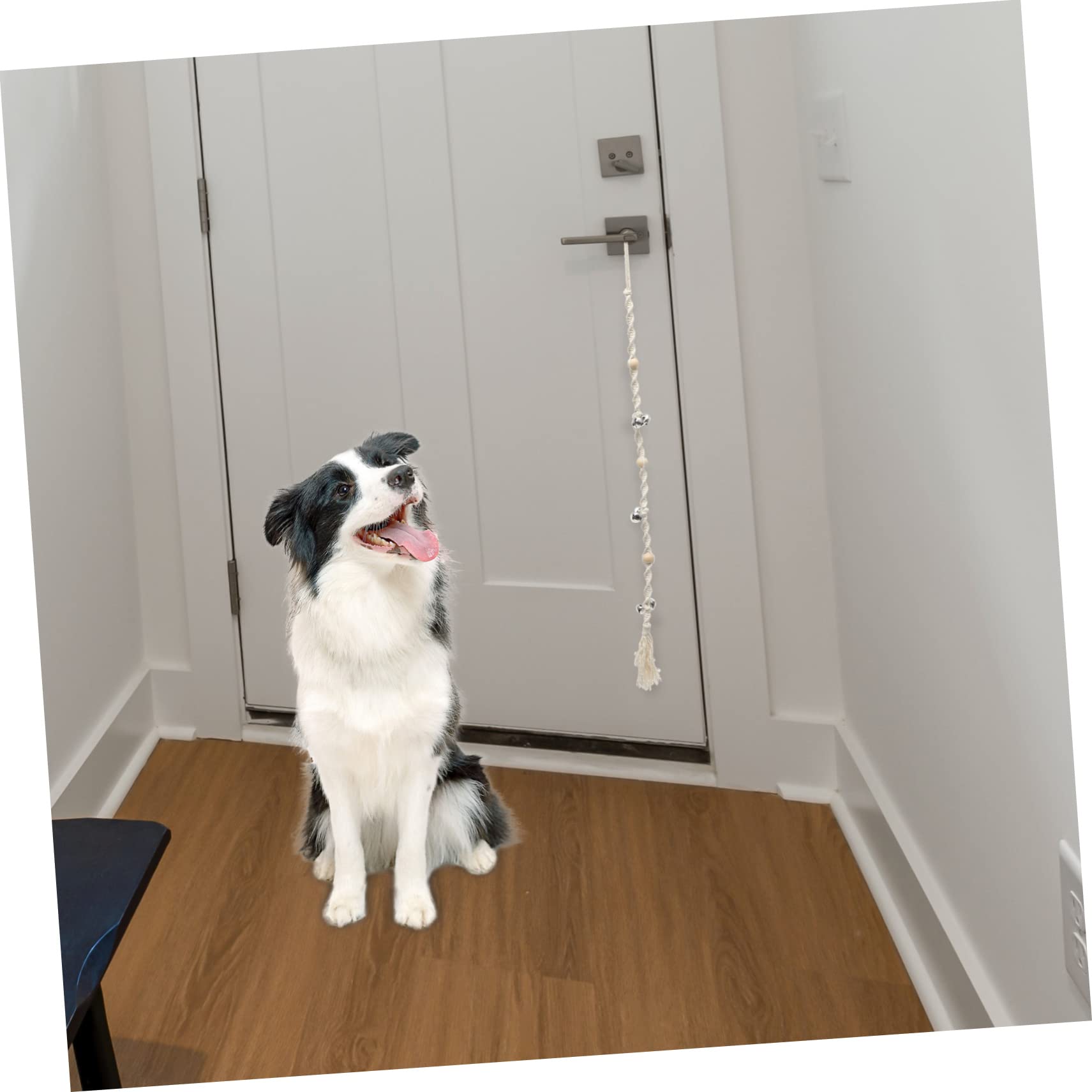 POPETPOP 4piezas Timbre Colgante para Perros Decoración Creativa y Funcional Accesorio De Entrenamiento para Mascotas para Puertas y Entrenamiento De Perros