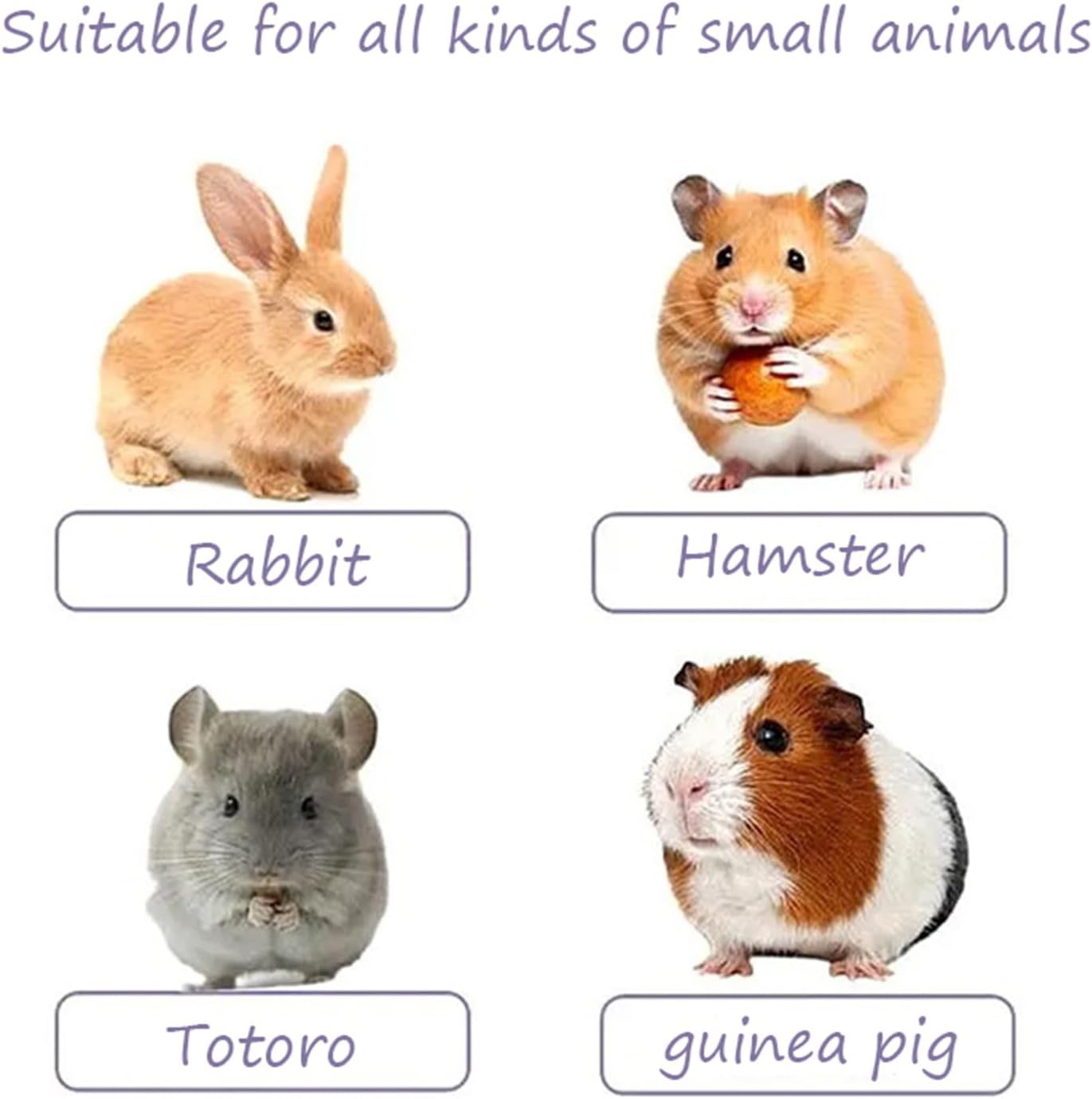 Rabbit Interactive Toy Puzzle Toy for Bunnies Bunny Ring 5 Rabbit Training Ring Toy Suitable for Indoor and Outdoor Play for Small Animals Such as Rabbits, Guinea Pigs, and Hamsters.