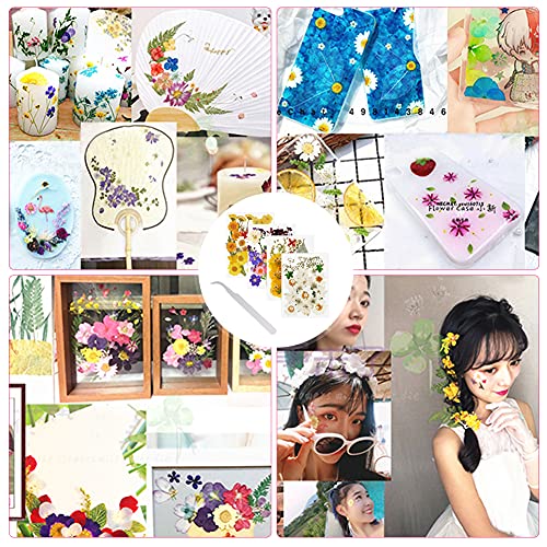 127 Stuks Echte Gedroogde Geperste Bloemen Wikay Natuurlijke Bloemen Geperste Bloem Blad Voor DIY Hars Sieraden Maken… - Afbeelding 8