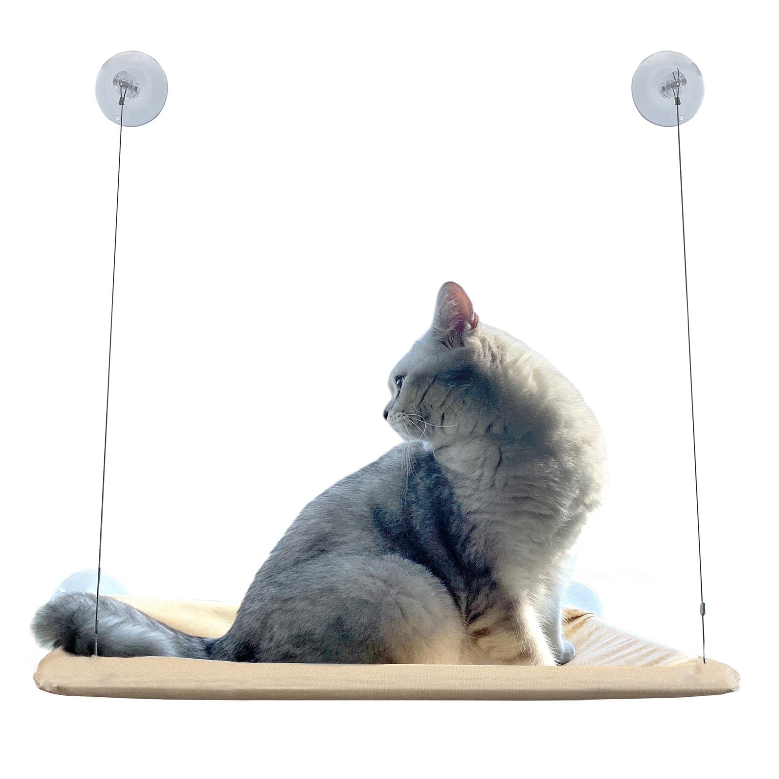 amazon cat window seat