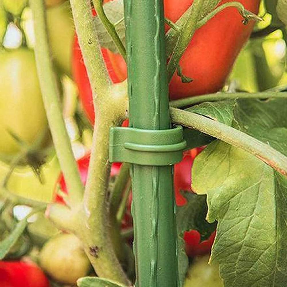 Amgate 36 Pcs Garden Stake Connector for Tomato Cage, 11.8" Expandable Trellis Stake Arms for Any 11mm Diameter Plant Stakes, for Climbing Plants Vegetables Fruits Vine