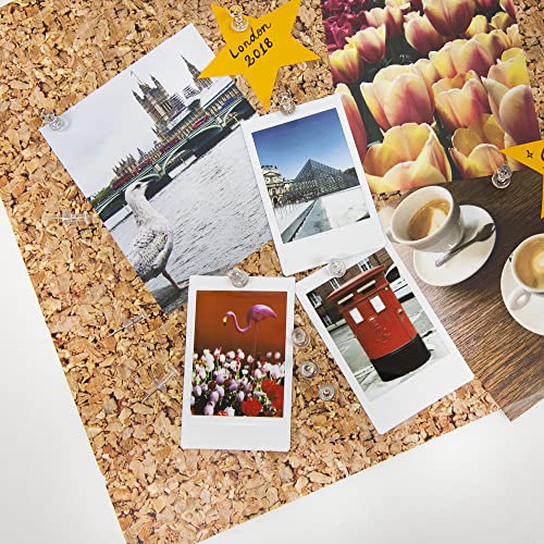 Bazic Transparent Push Pins, Clear, 100 Per Pack (Packaging May Vary) #TOP5