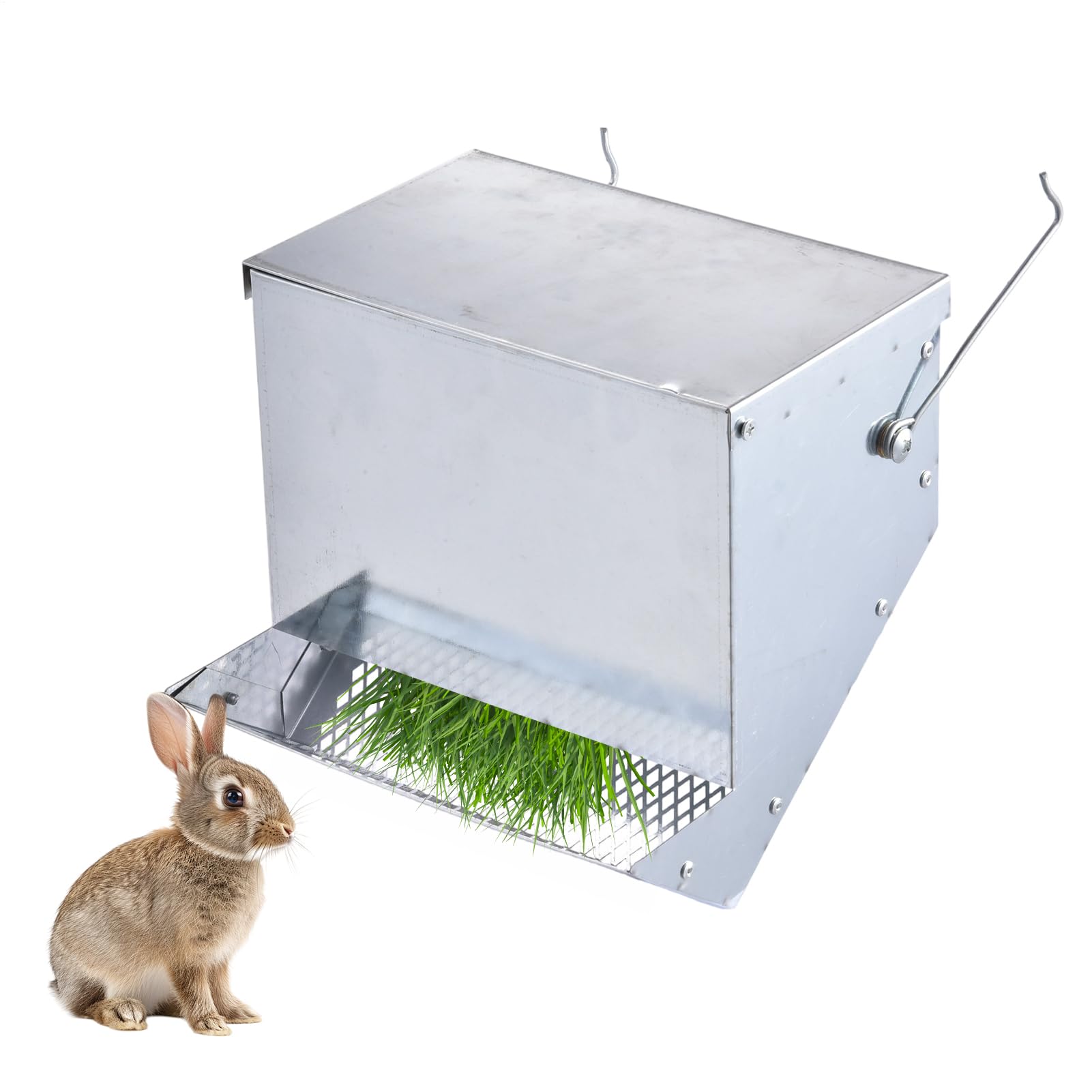 Bol d'alimentation automatique pour lapin avec couvercle protecteur