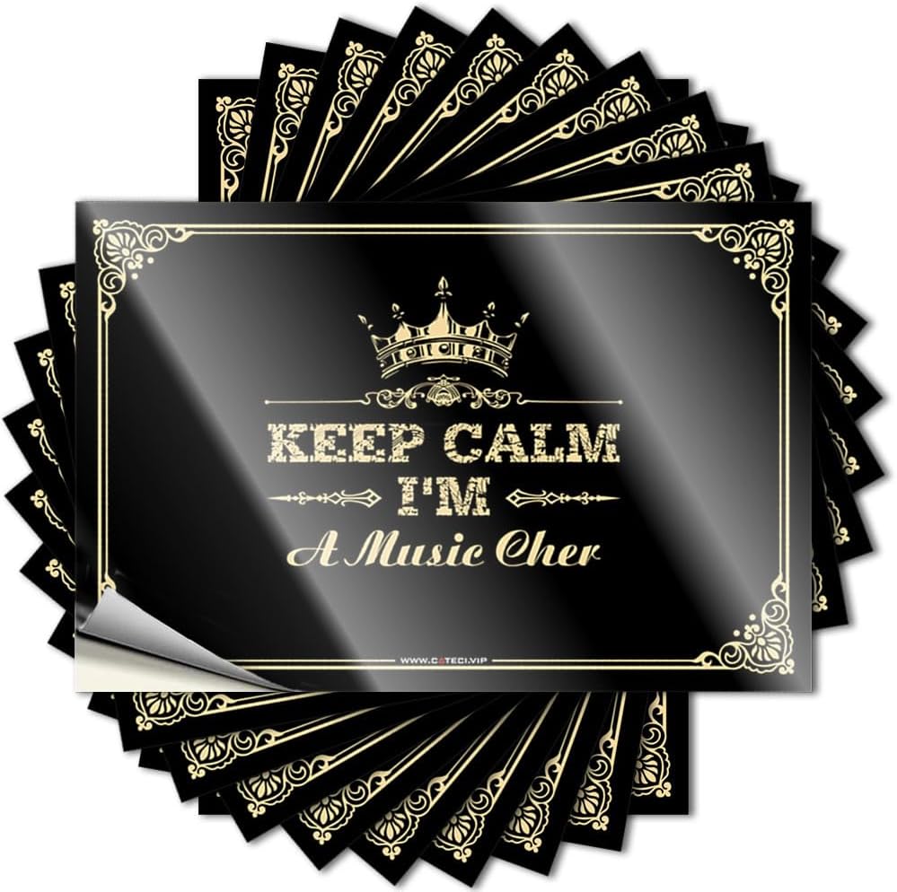 Space Case Decals | Keep Calm I'm A Music Cher Unique Durable Vinyl Sticker Easy Apply for Motorcycle(6X9CM)