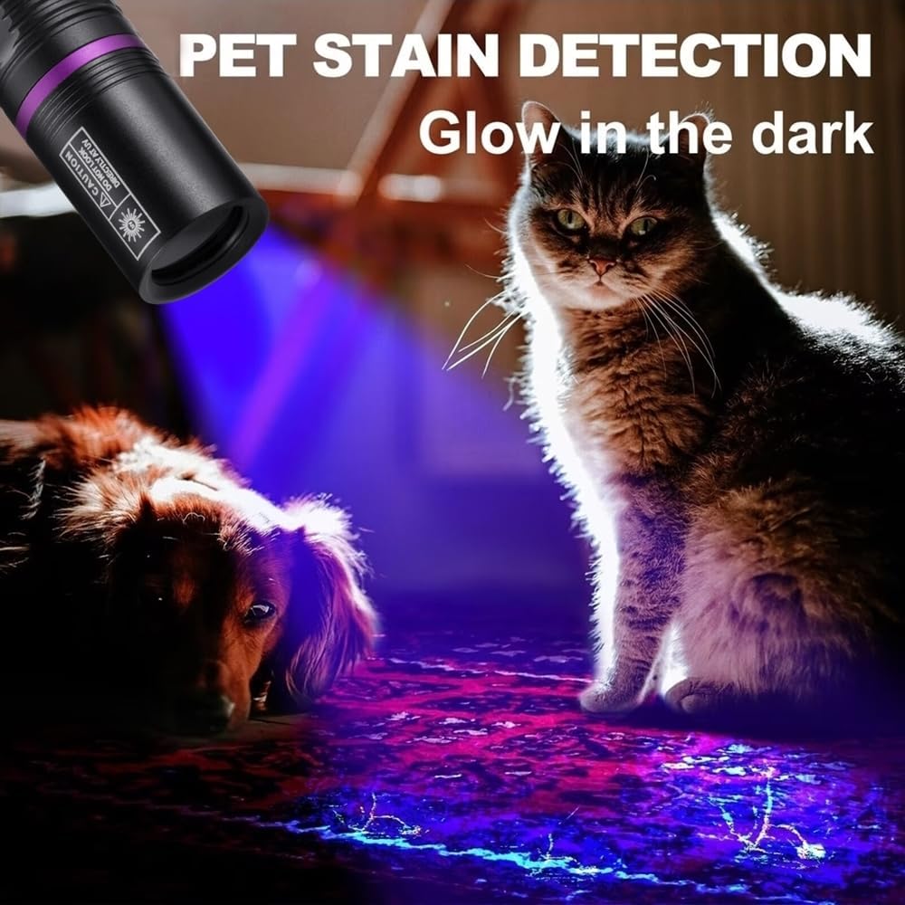 The Alonefire SV113 UV flashlight illuminating pet stains on a carpet, with a dog and cat in the background.