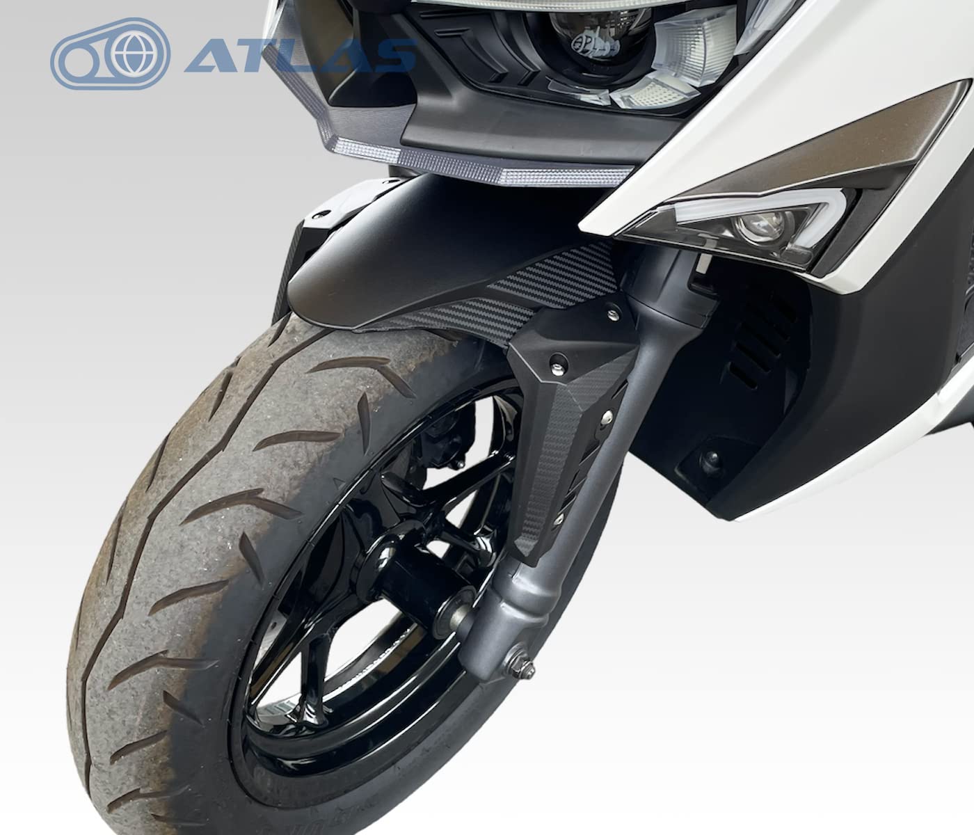 Amazon | APEXX シグナス グリファス 6型 CYGNUS GRYPHUS GP フロント