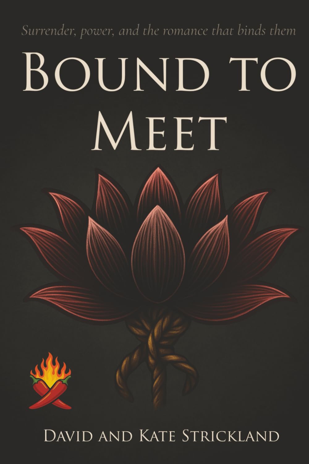 Bound to Meet: Surrender, power, and the romance that binds them: 1 (The David and Kate Sessions)