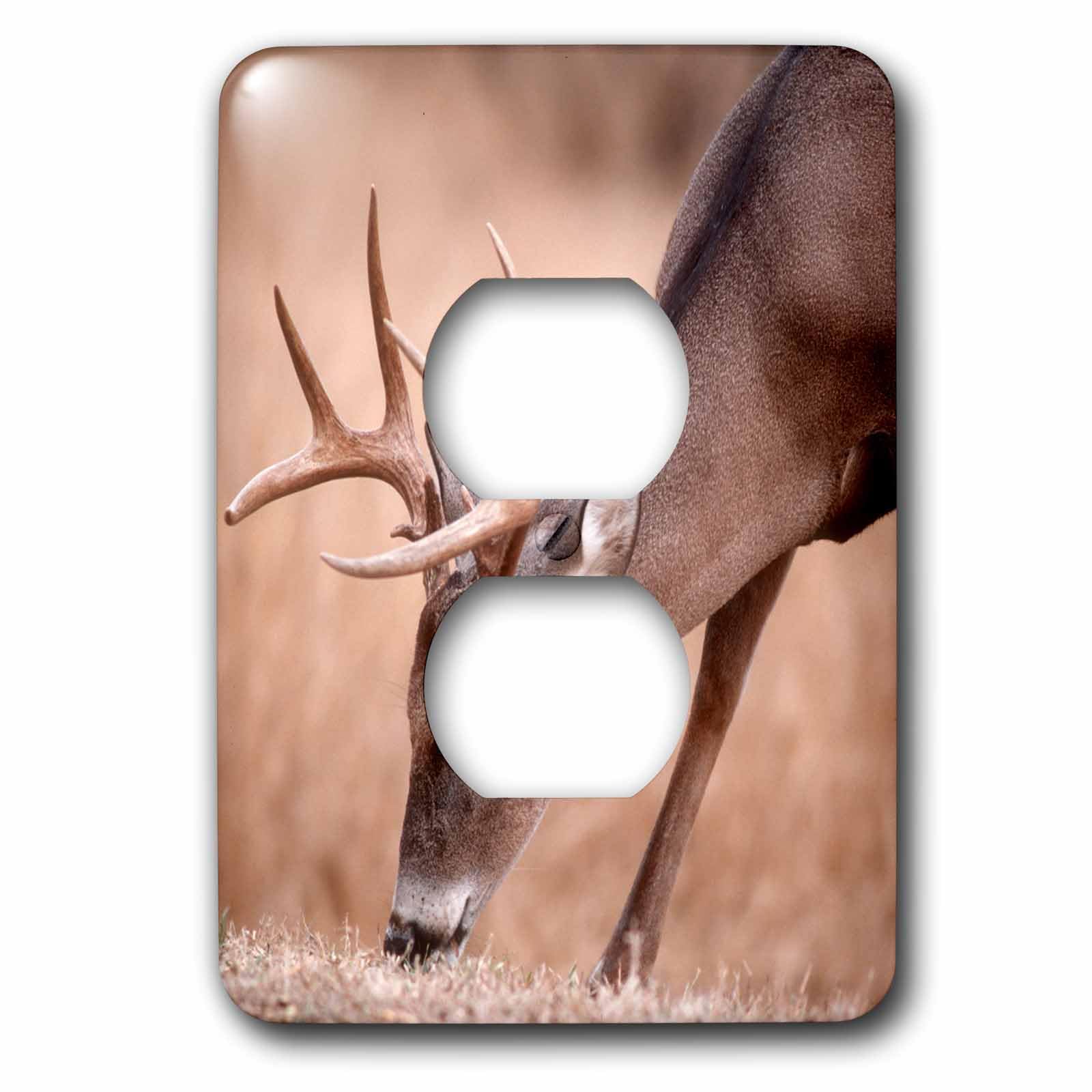 Prises de prise de courant Cerf d'automne pour décoration chaleureuse de salon et chalet