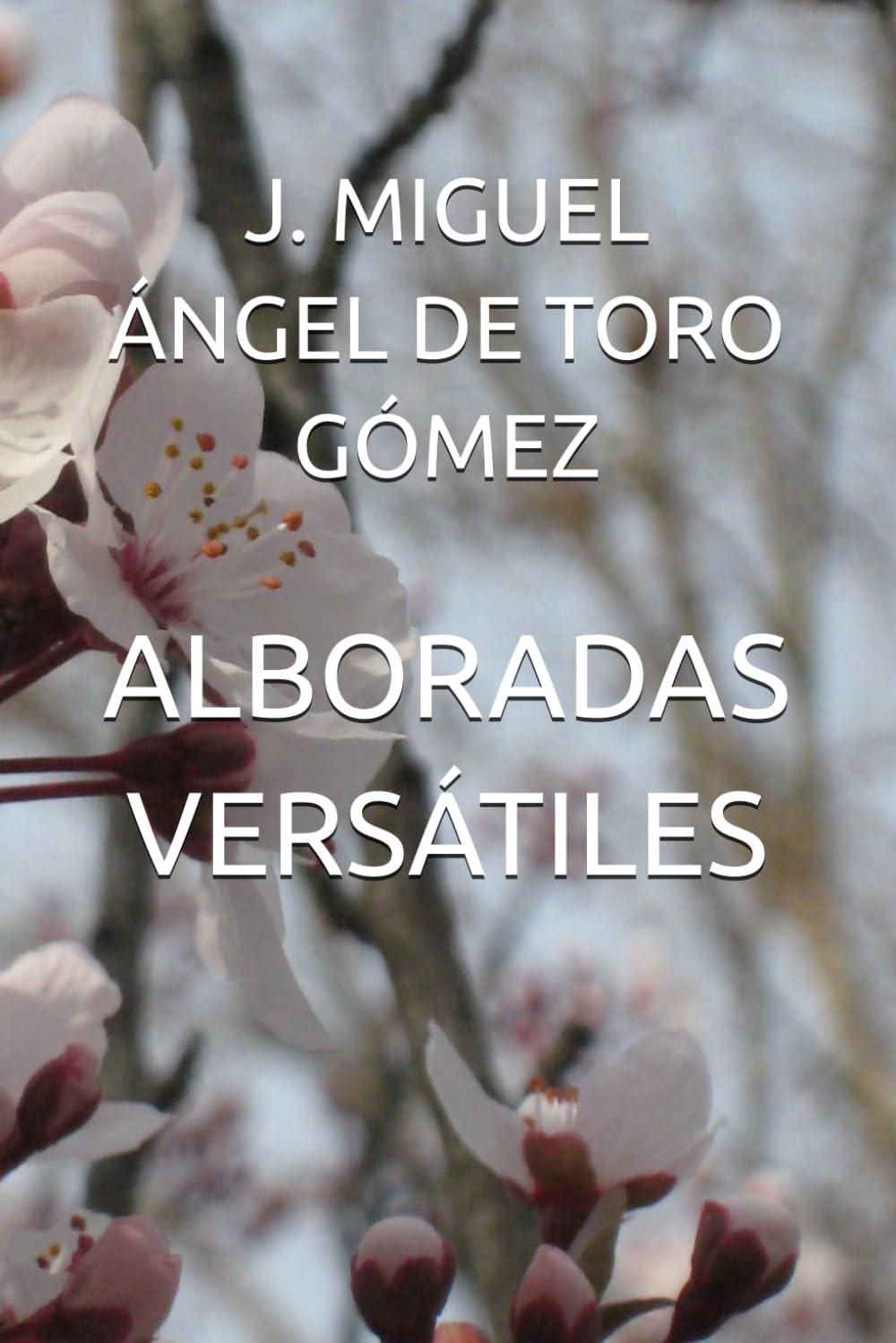 ALBORADAS VERSÁTILES