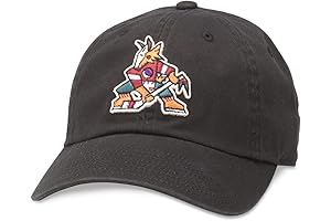 AMERICAN NEEDLE Unisex Blue Line NHL National Hockey League Team Baseball Hat...