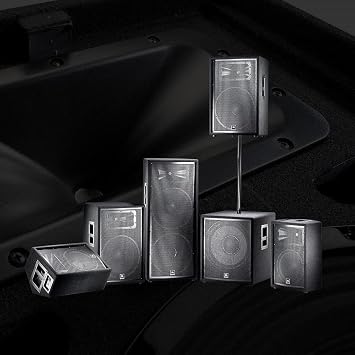 JBL Professional JRX225 Portable, Passive 2-way Sound Reinforcement, 2000 Watt, 8 Ohm, DJ, Pro Audio PA Speaker, Loudspeaker System, Dual 15 inch, Black