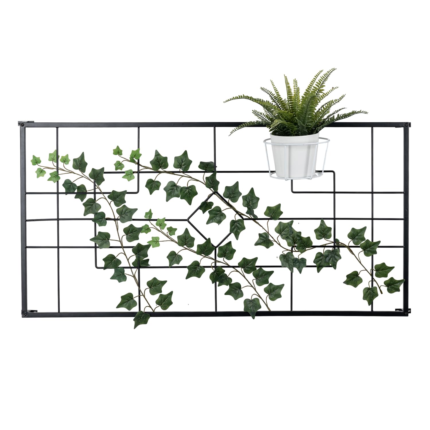 GIRUVI 「Grow on the Wall」Gracilius GIRUVI 「Grow on the Wall」Gracilius Vines of Green Ivy