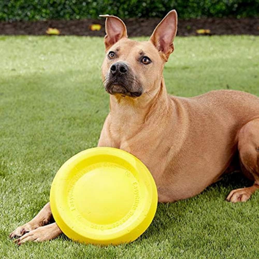 Starmark 11" Easy Glider Durafoam Disc (Colors May Vary)
