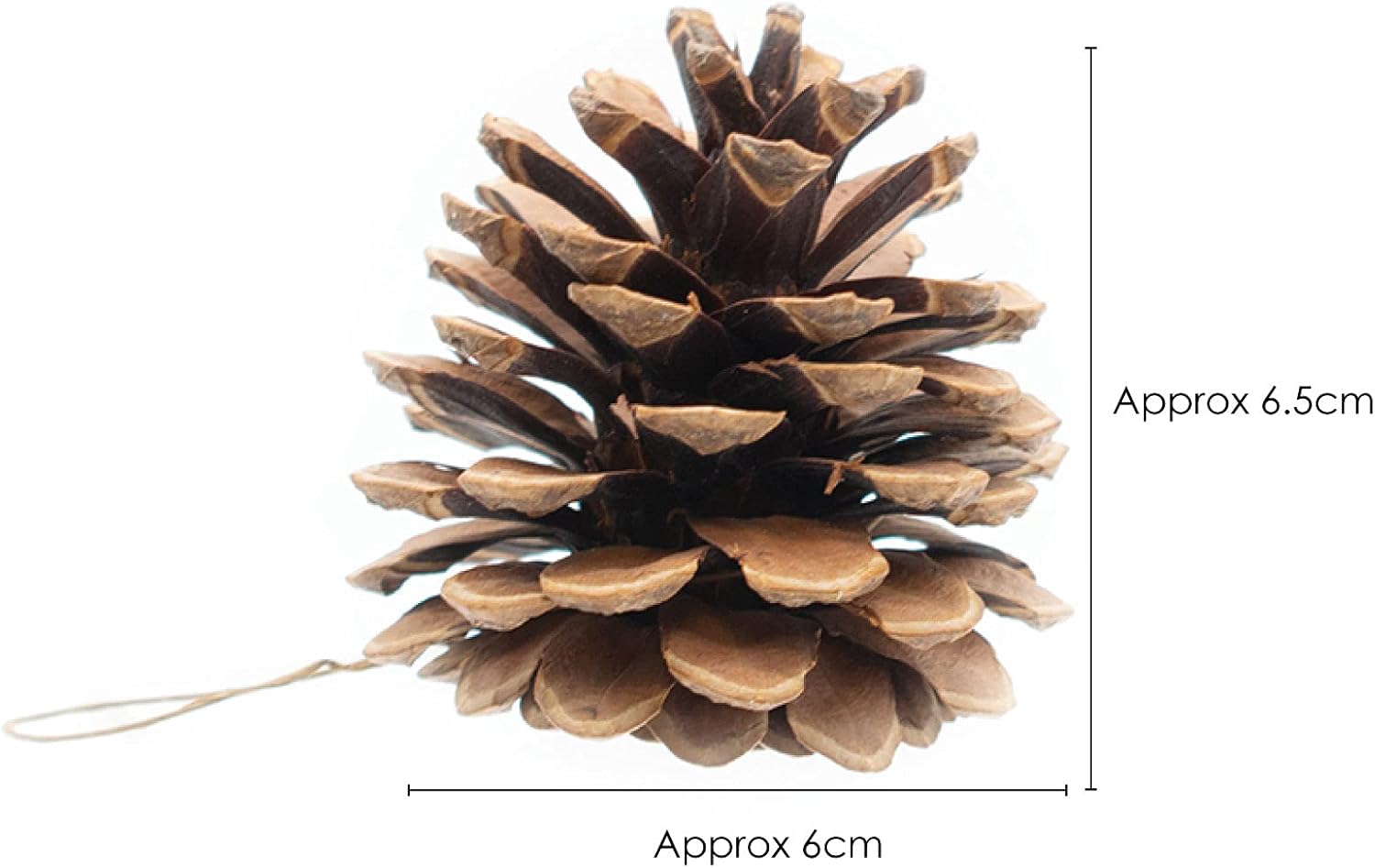 TRIXES 9pc Hanging Pine Cone Decoration, Christmas Tree Decorations, Natural Cones for Baubles Wreath, Garland - Image 3