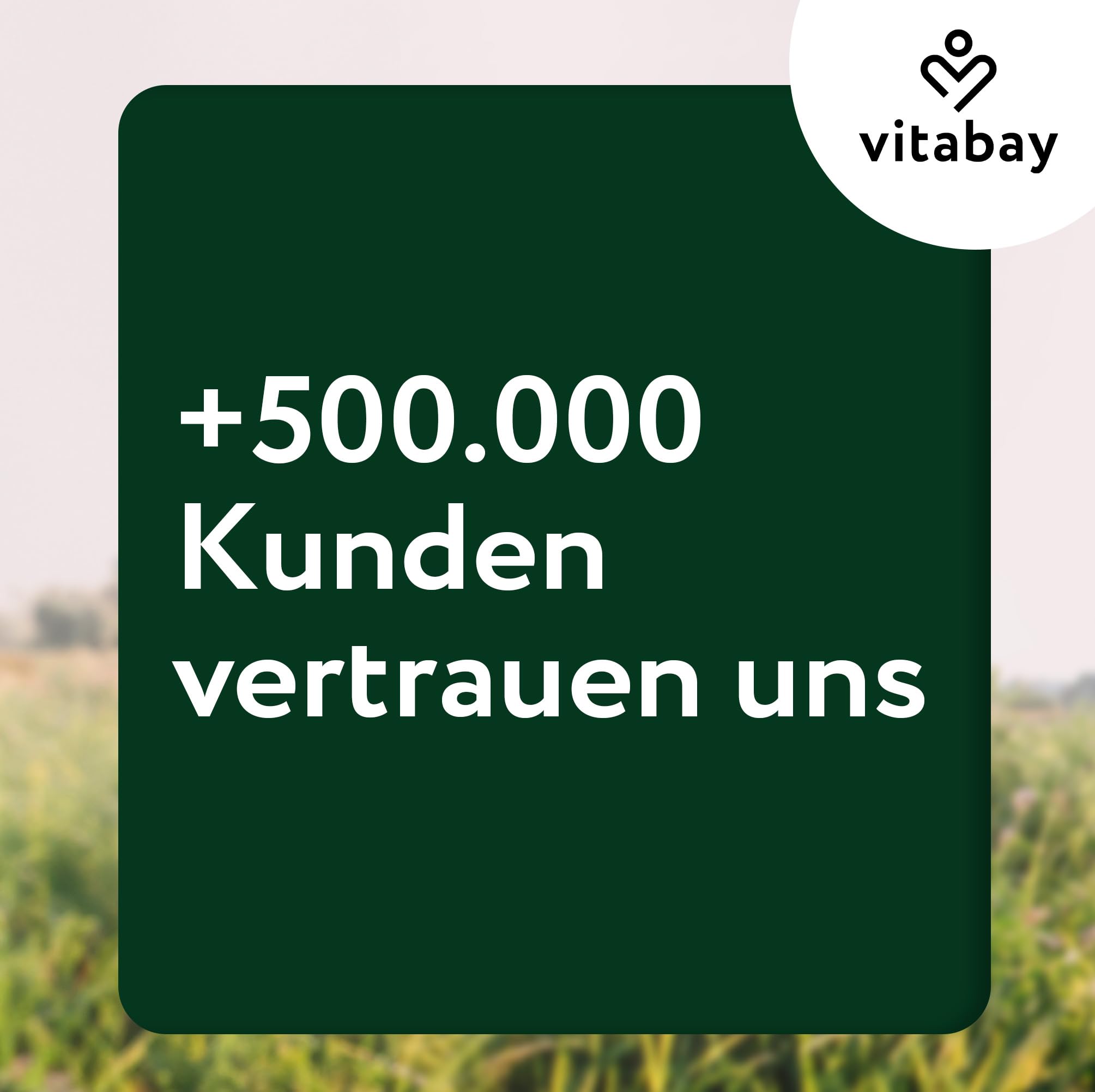 Vitabay Methylenblau Kapseln – 180 Stück – mit 20 mg Methylenblau | pro Kapsel – entwickelt für Forschungs- und Analysezwecke – Laborgeprüft in Deutschland