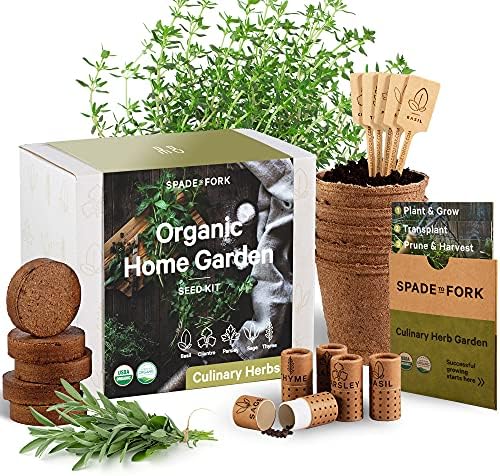 Herb Garden Kit Indoor - Certified USDA Organic Non GMO | Herb Plants for Women and Men, Indoor Herb Garden Starter Kit, Herb Growing Kit Indoor, Plant Growing Kit, Herb Starter Kit, Plant Kit…