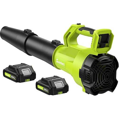 Leaf Blower Cordless with 2 Batteries and Charger, Electric Battery Powered Cordless Leaf Blower, Portable Lightweight Handhold Blowers for Blowing Leaves, Patio Cleaning, Lawn Care and Dust