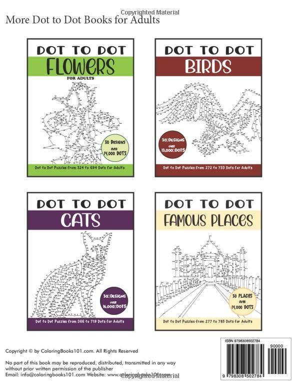 Dot to Dot Lake Houses for Adults: Lake Houses Connect the Dots Book for Adults (Over 28000 dots) (Dot to Dot Books for Adults) - Image 2