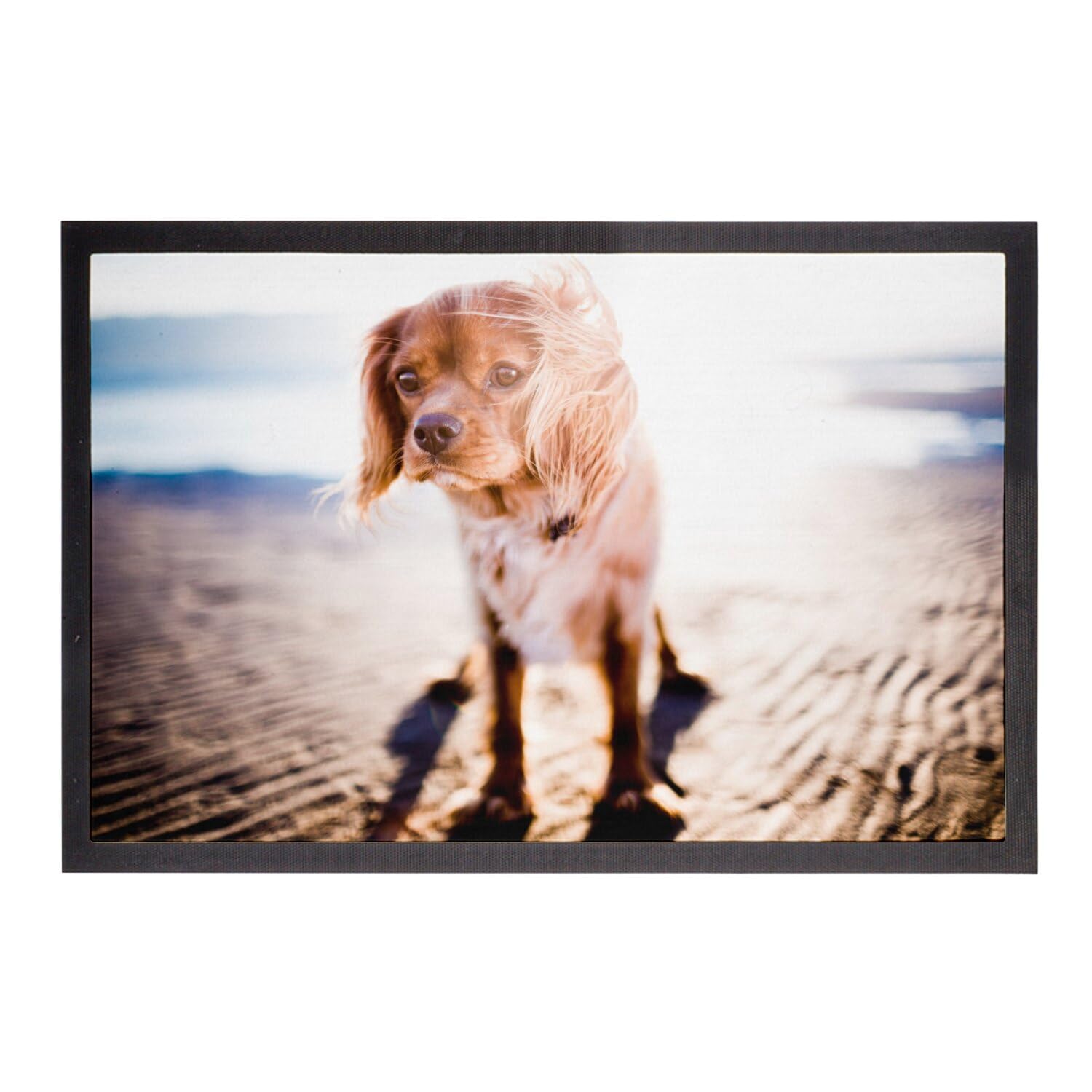 Paillasson Cavalier King Charles plage et tapis d'entrée mignon pour chien marron 75x50cm