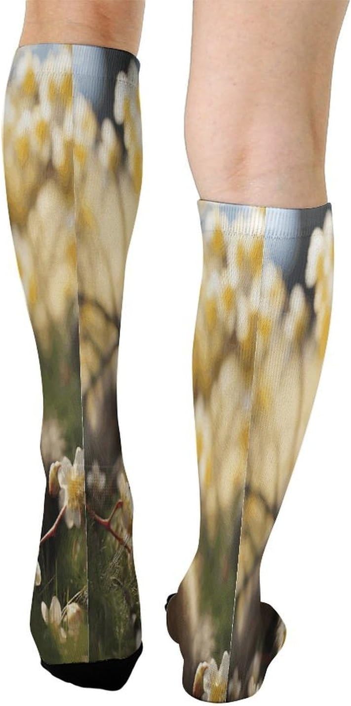 Animal in Spring Crew Socks Calf Socks Athletic Crew Sock