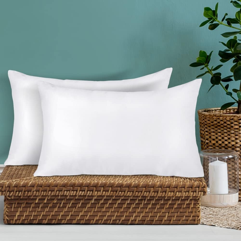 OTOSTAR Pack of 2 Throw Pillow Inserts, 12x20 Inch Cushion Inner Soft