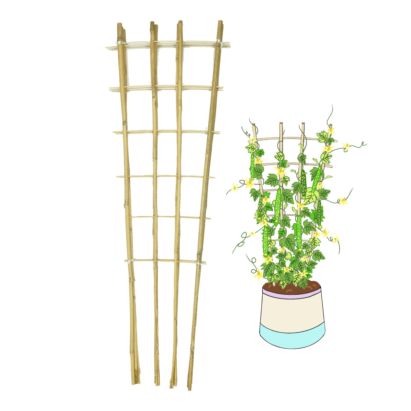 GUANGYE 3 Pack 4ft Trellis