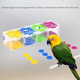 Ver la foto 7