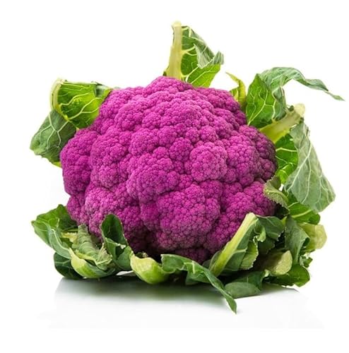 Semi Cavolfiore Violetto di Sicilia, Varietà Antica e Rara, Infiorescenze Viola, 300 Semi