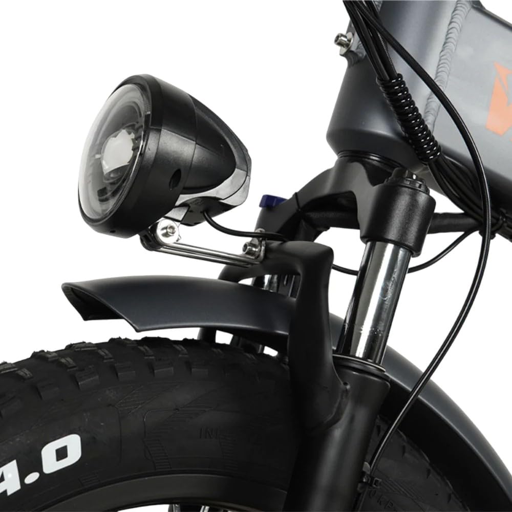 CO20 Max E-Bike Klapprad Doppelmotor mit 48V 20Ah Akku bis zu 120km | 20x4.0 Zoll, Hydraulische Bremse, 7 Gang Schaltwerk, Vollfederung Fatbike Pedelec für Damen u. Herren